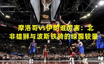 摩洛哥vs伊朗谁厉害：北非雄狮与波斯铁骑的绿茵较量