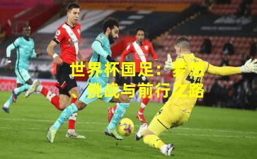 世界杯国足：梦想、挑战与前行之路