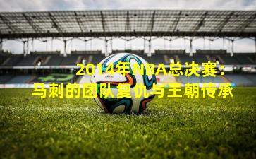 2014年NBA总决赛：马刺的团队复仇与王朝传承