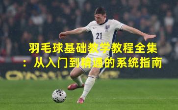 羽毛球基础教学教程全集：从入门到精通的系统指南