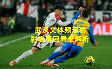 武汉文体频道精彩赛事回看全解析